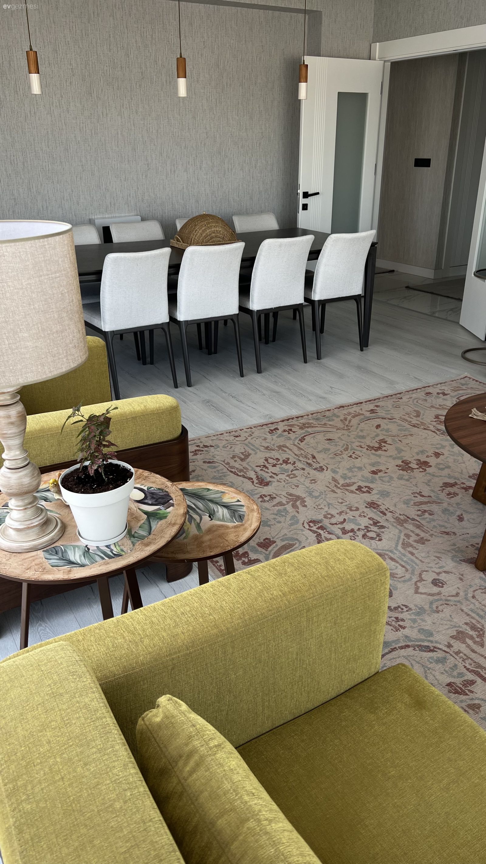 Popüler Trendlere Meydan Okuyan Midimalist Bir Afyon Evi