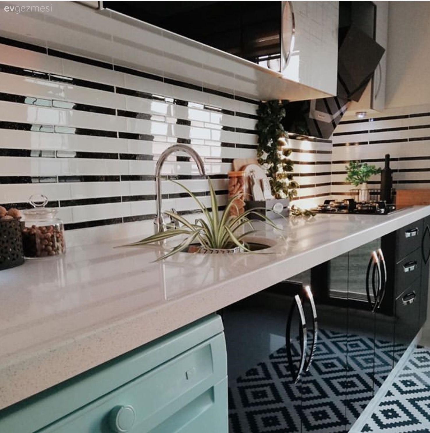 Bu Apartman Dairesi Adeta Bir Botanik Bahçesi!