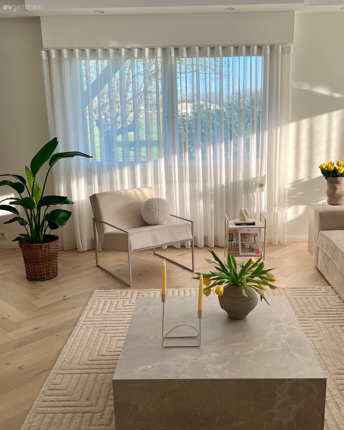 Salon, Modern, Tül perde, Perde, Saksı, Ev bitkisi, Orta sehpa, Sehpa, Halı, Salon halısı