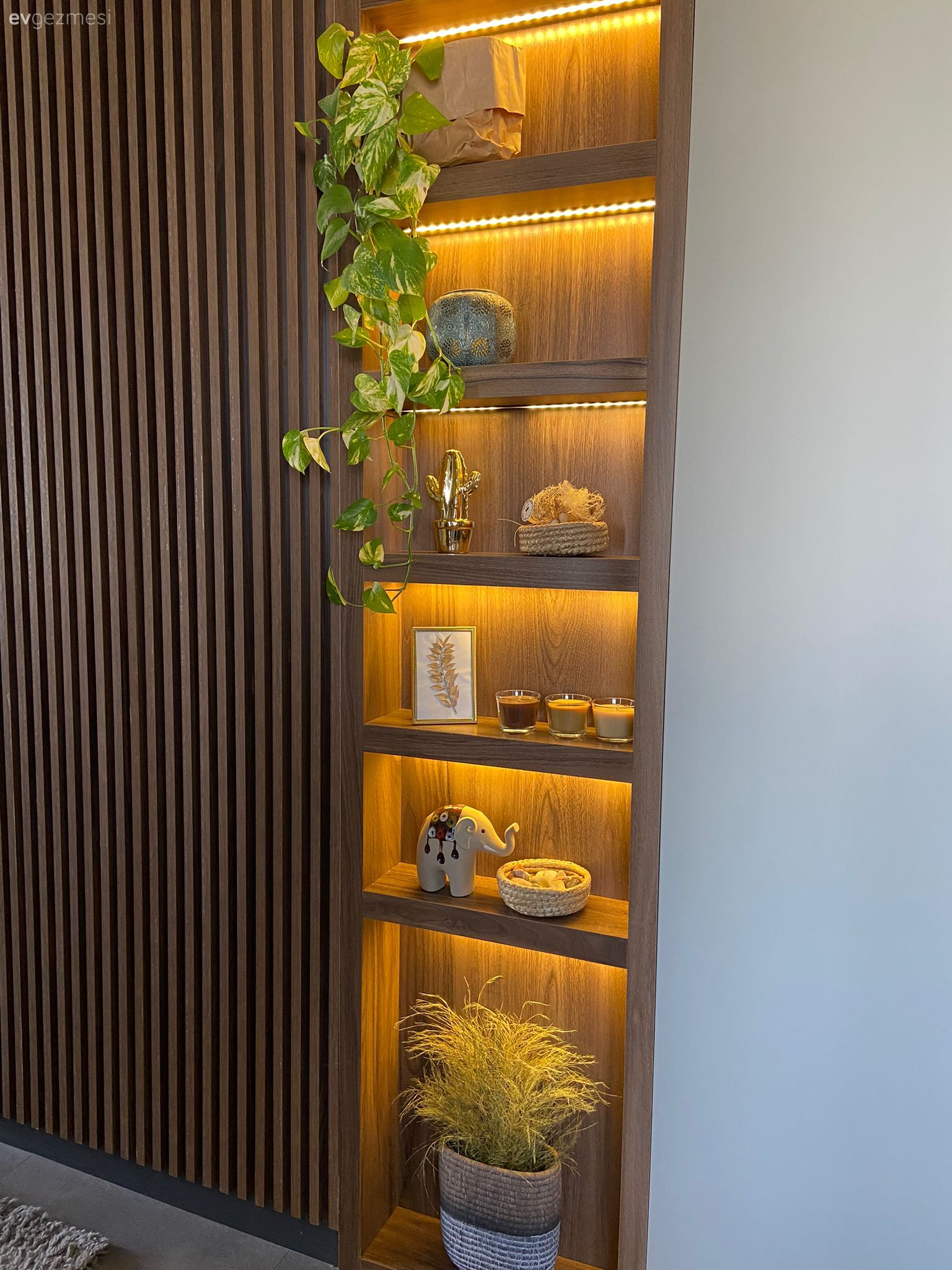 Duvar rafı, Duvar dekorasyonu, Ev bitkisi, Hardal, Yeşil, Dekoratif Objeler, Kahverengi, Beyaz, Bej, Krem