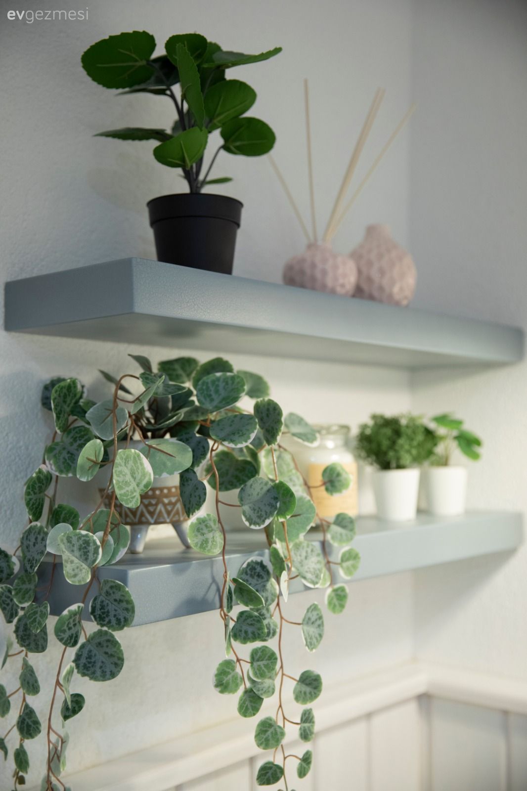 Banyo rafı, Ev bitkisi, Banyo aksesuarları, Banyo