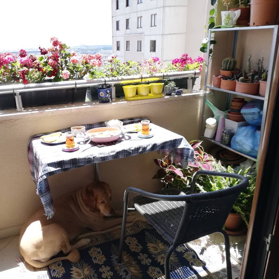 Bu Evdeki Sıcak Ortamı Dereceler Ölçemiyor