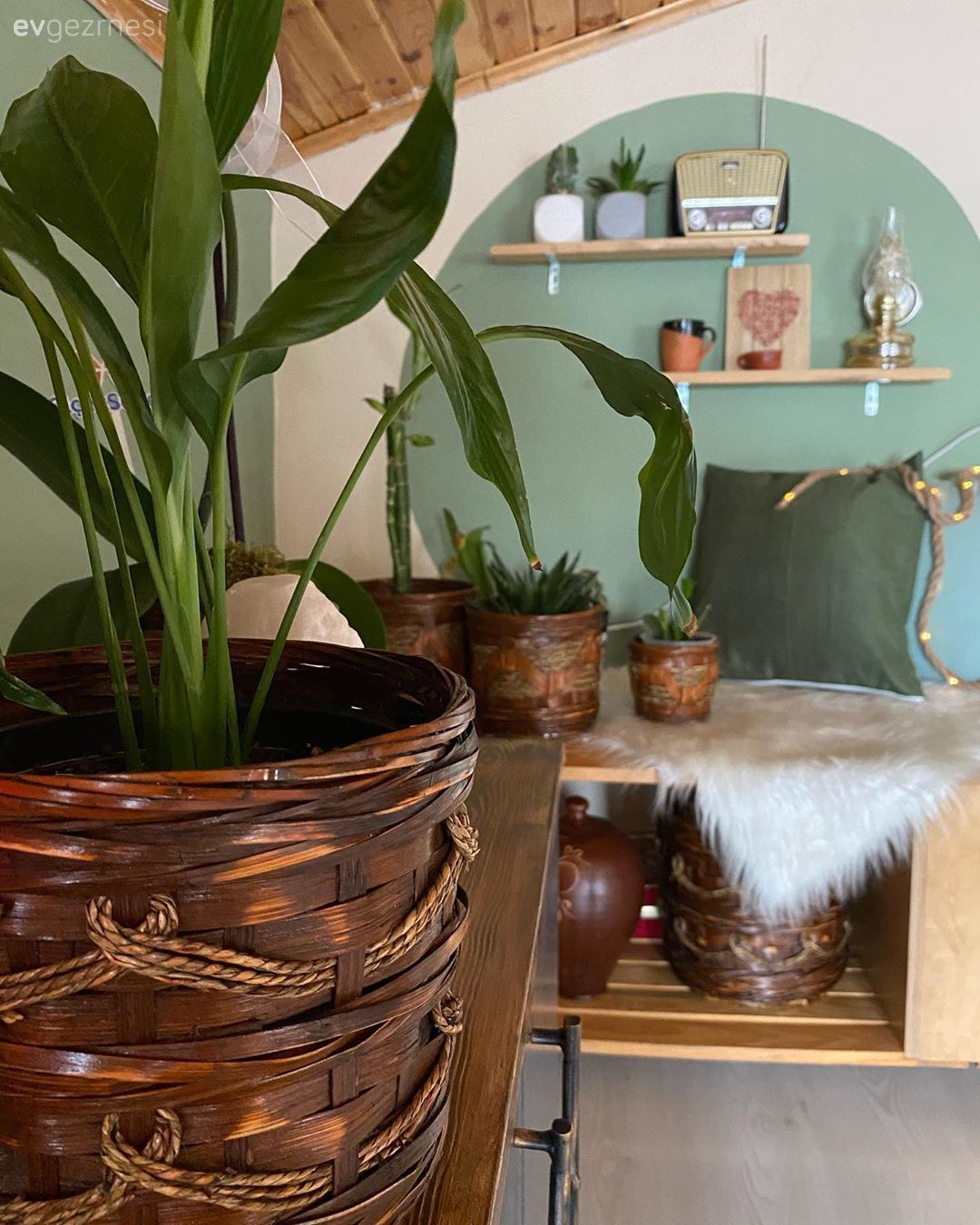 Mint yeşil, Beyaz, Kahverengi, Duvar rafı, Duvar dekorasyonu, Peluş, Sehpa, Kırlent, Ev tekstili, Vazo, Ev Aksesuar, Ev bitkisi