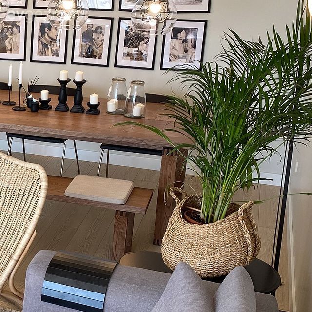 Salon, Yemek masası, Ahşap masa, Çerçeve, Duvar dekorasyonu, Saksı, Ev bitkisi, Kahverengi