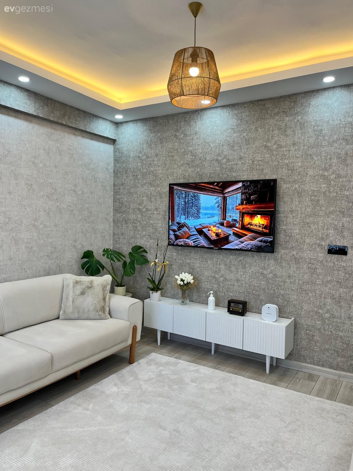 Beyaz, Gri, Bej, Gri duvar, Hasır avize, Halı, Led aydınlatma, Aydınlatma, Spot aydınlatma, Tv ünitesi, Beyaz koltuk, Ev bitkisi