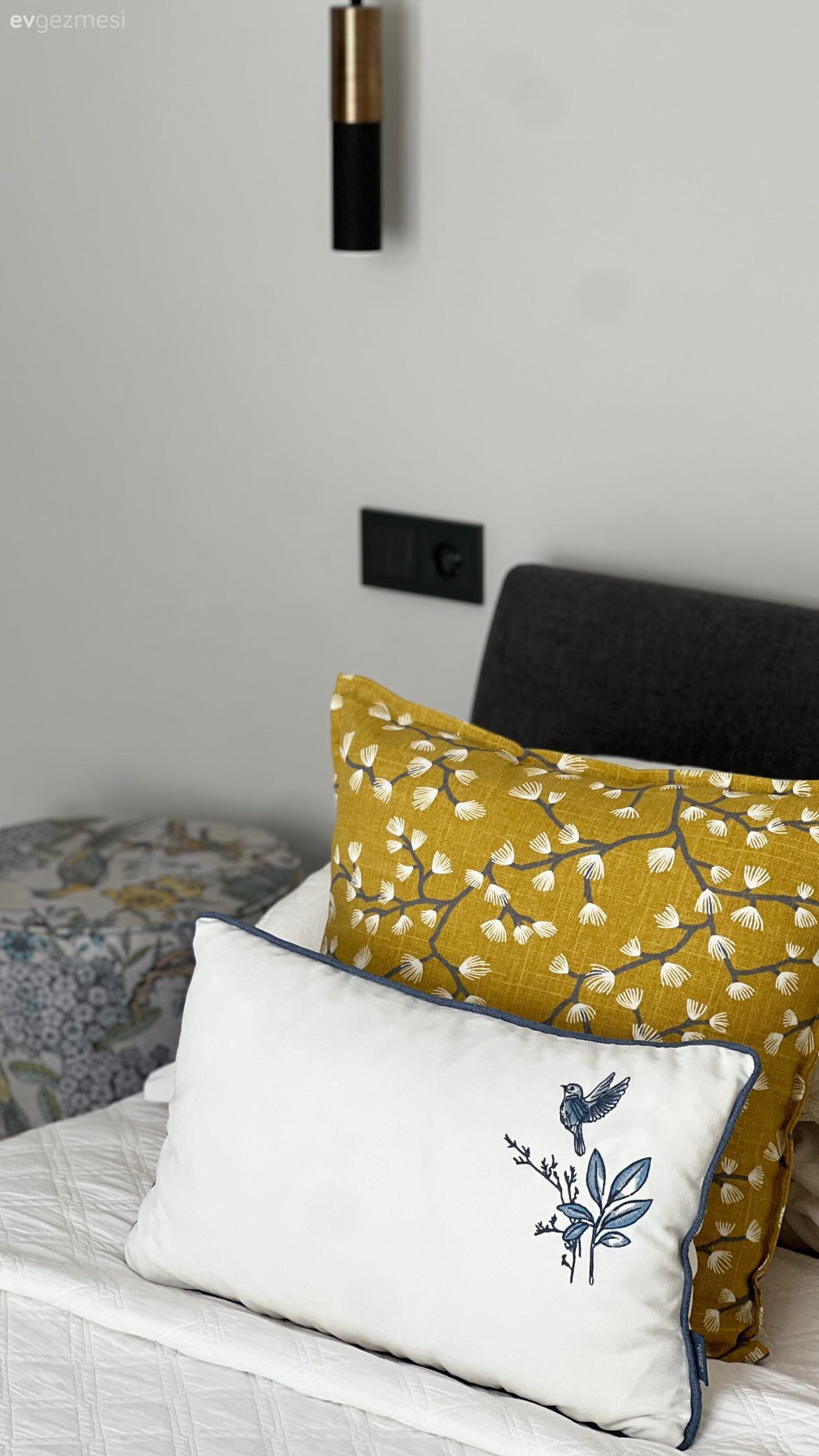 Popüler Trendlere Meydan Okuyan Midimalist Bir Afyon Evi