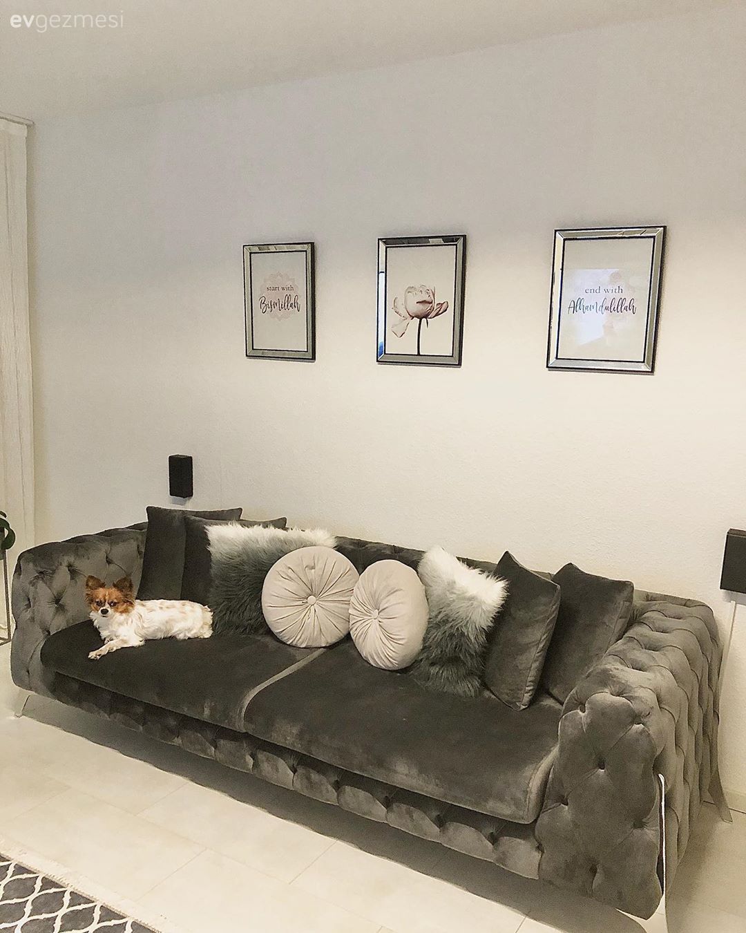 Salon, Beyaz, Siyah, Kırlent, Ev tekstili, Çerçeve, Modern chesterfield