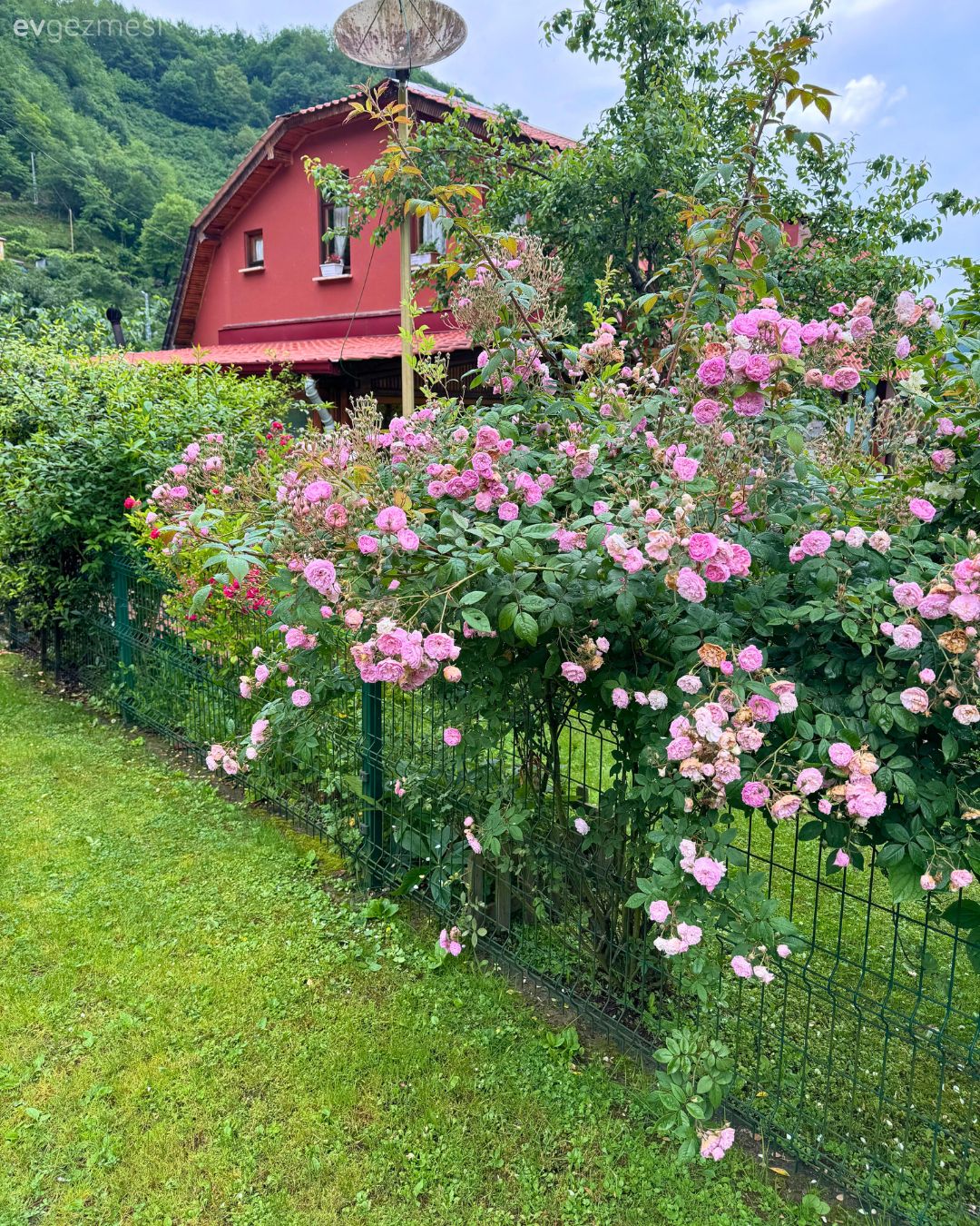 Müstakil Ev, Bahçe