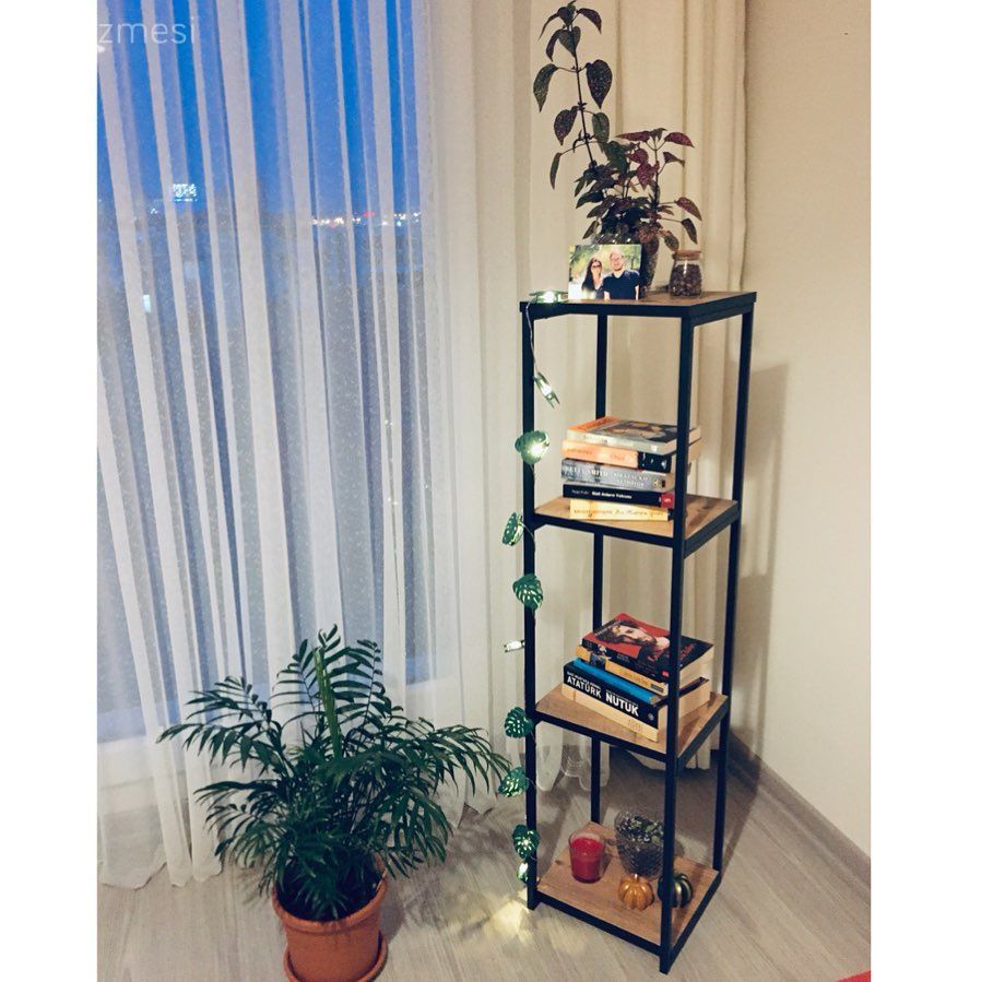 Kitaplık, Ev bitkisi, Tül perde, Perde