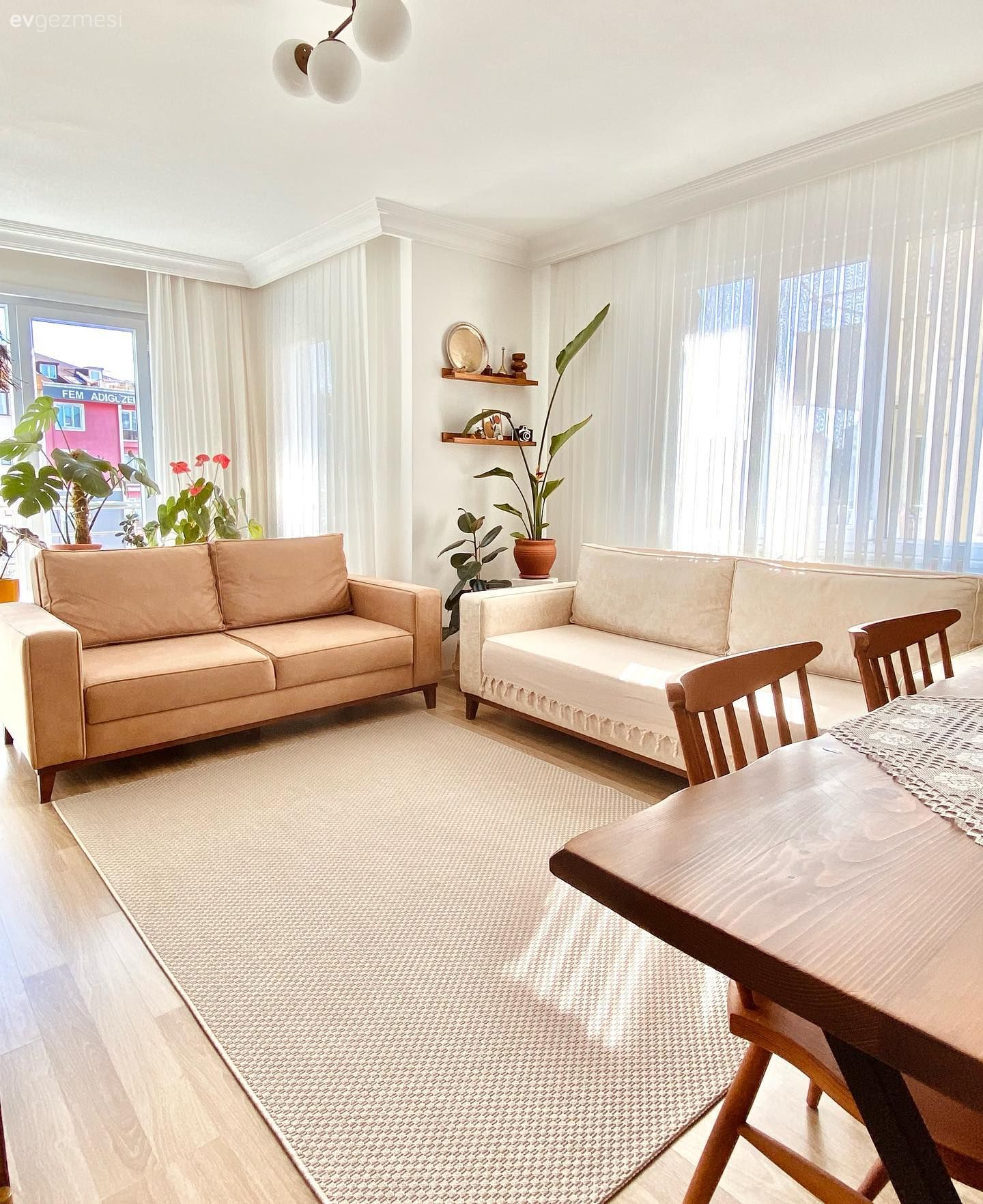 Salon, Modern, Krem, Bej, Koltuk takımı, Kahverengi, Ev bitkisi, Duvar rafı, Duvar dekorasyonu, Halı, Sandalye, Yemek masası, Tül perde, Perde