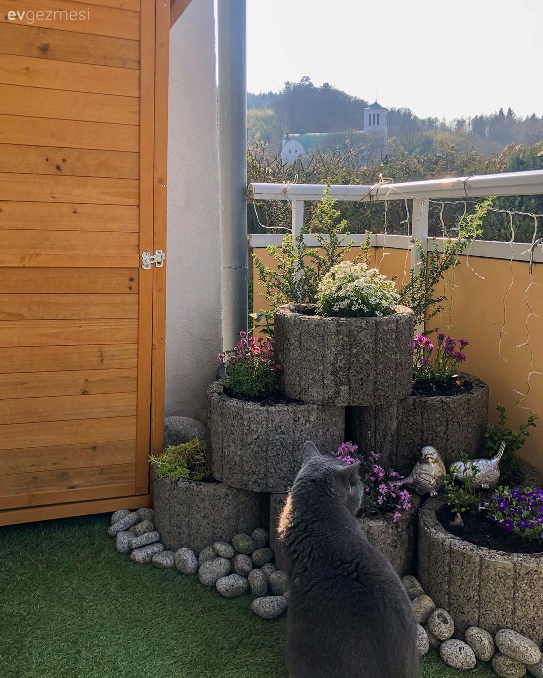 Bahçe, Peyzaj, Çiçekler