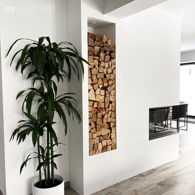 Açık konsept yaşam alanı, Beyaz, Siyah, Şömine, Ev bitkisi, Modern, Parke