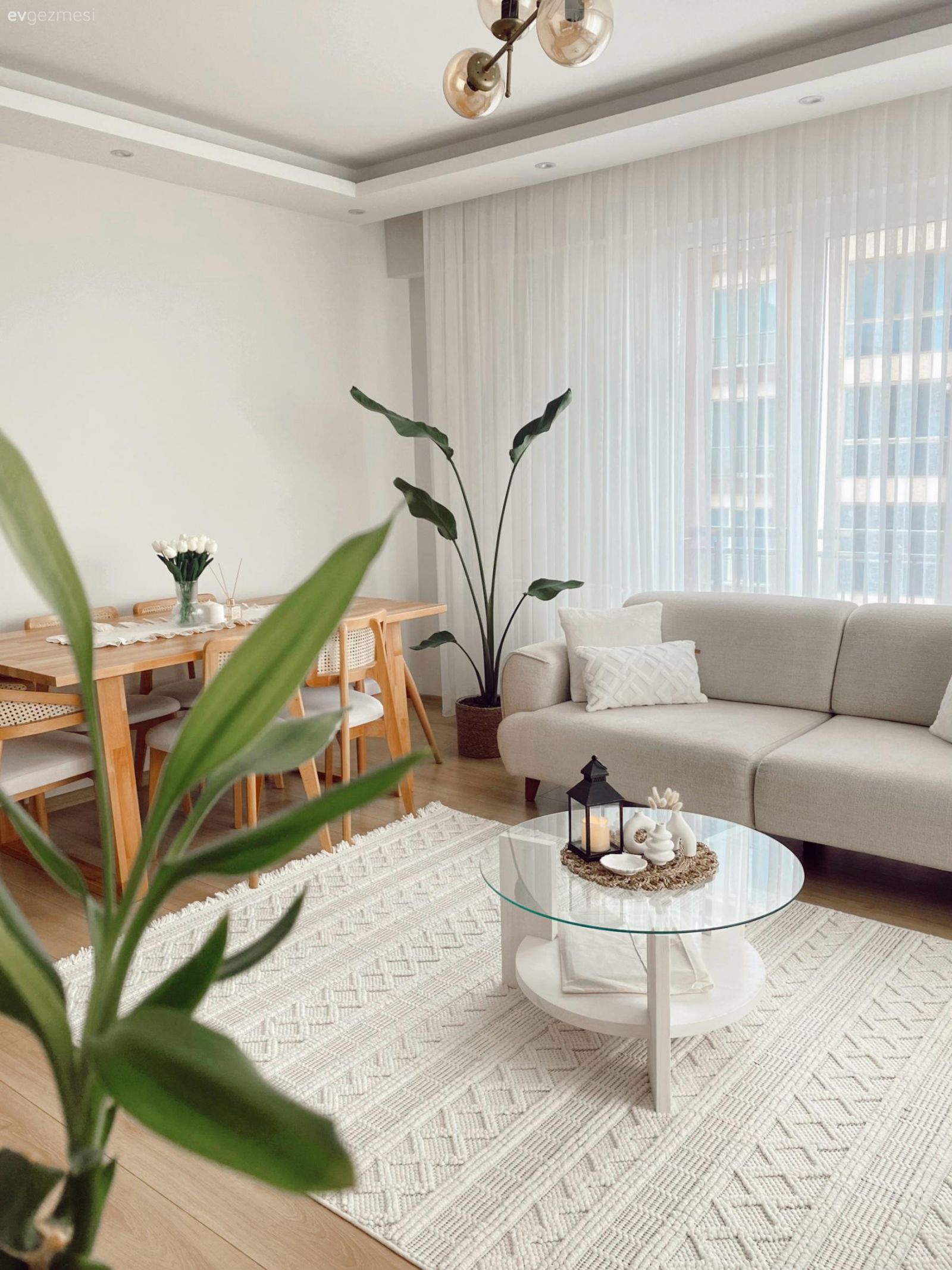 Salon, İskandinav, Modern, Beyaz, Krem, Bej, Ahşap Mobilya, Koltuk takımı, Tül perde, Perde, Ev bitkisi, Saksı, Halı, Beyaz halı, Kırlent, Ev tekstili, Orta sehpa, Sehpa