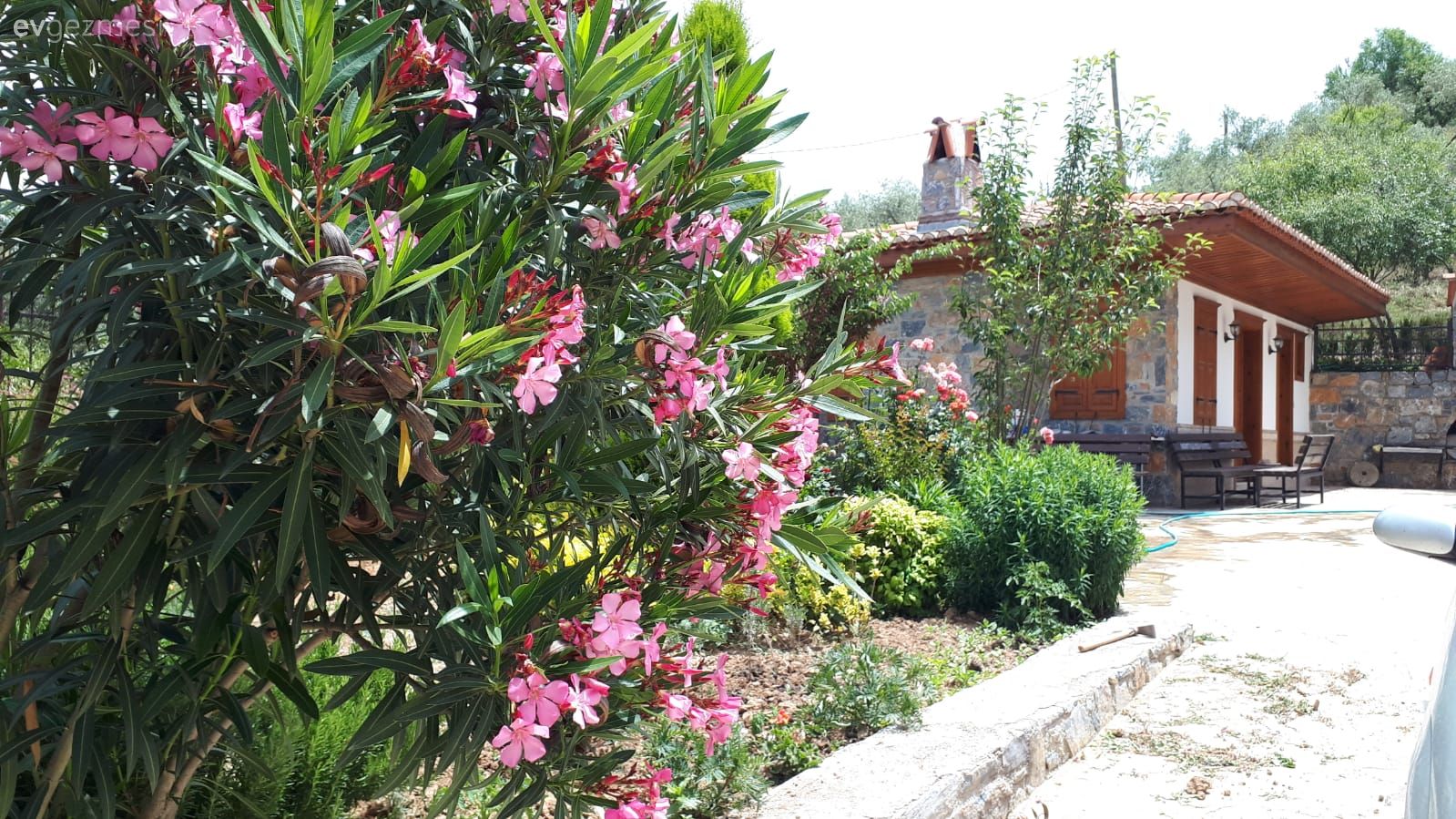 Müstakil Ev, Dış cephe, Bahçe, Çiçekler