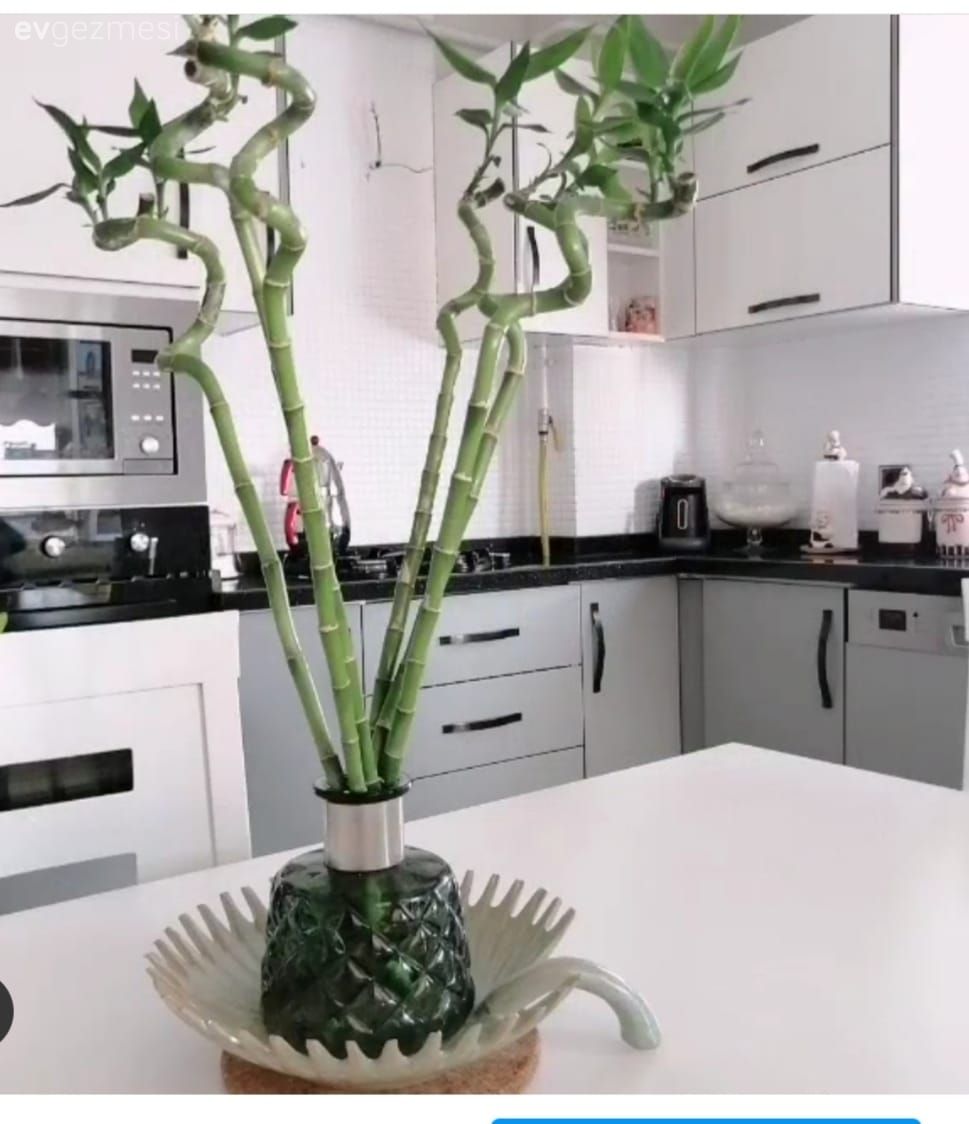 Mutfak, Beyaz, Gri, Yeşil, Mutfak boyama, Mobilya boyama, Mutfak tezgahı, Mutfak tezgah arası, Mutfak perdesi, Siyah tezgah, Parke