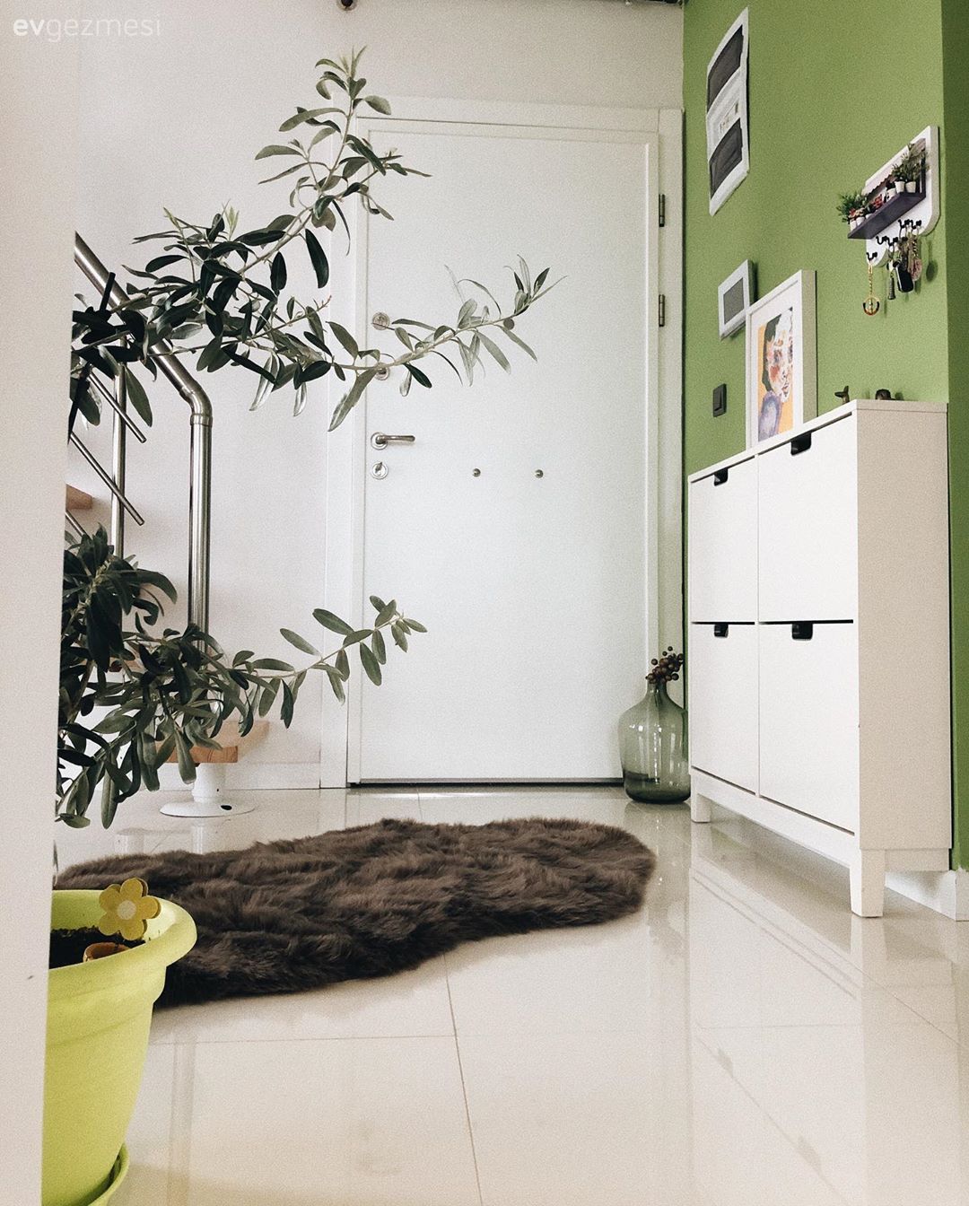 Bohem Etkiyi Seven Bu Ev Renklerin Gücüne Çok İnanıyor