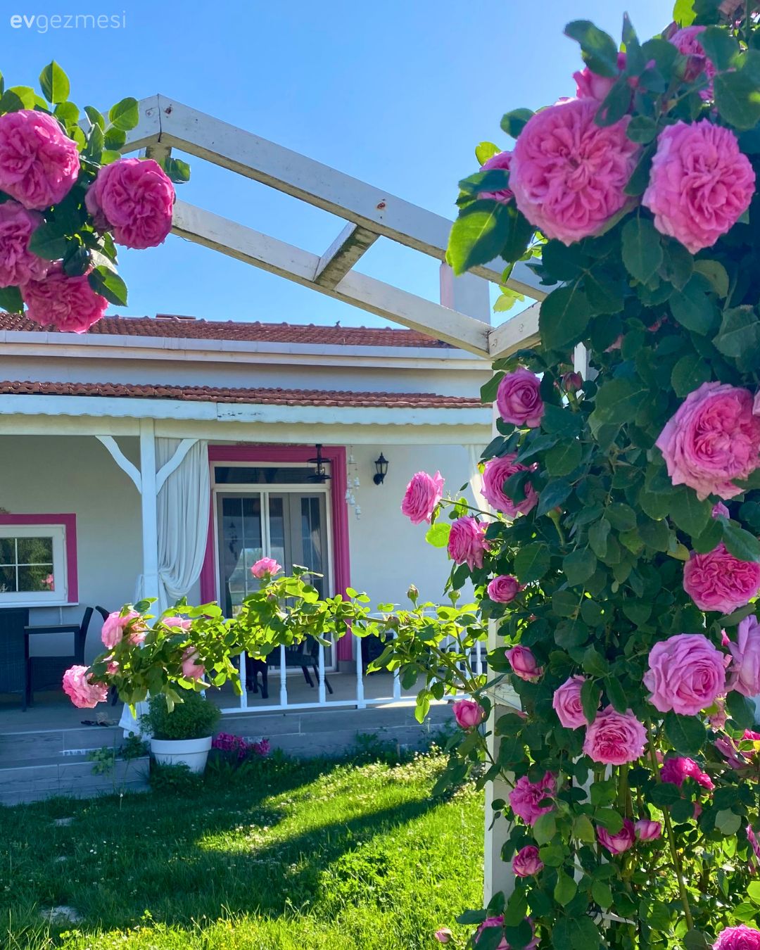 Müstakil Ev, Pembe, Beyaz, Bahçe, Çiçekler, Prefabrik ev