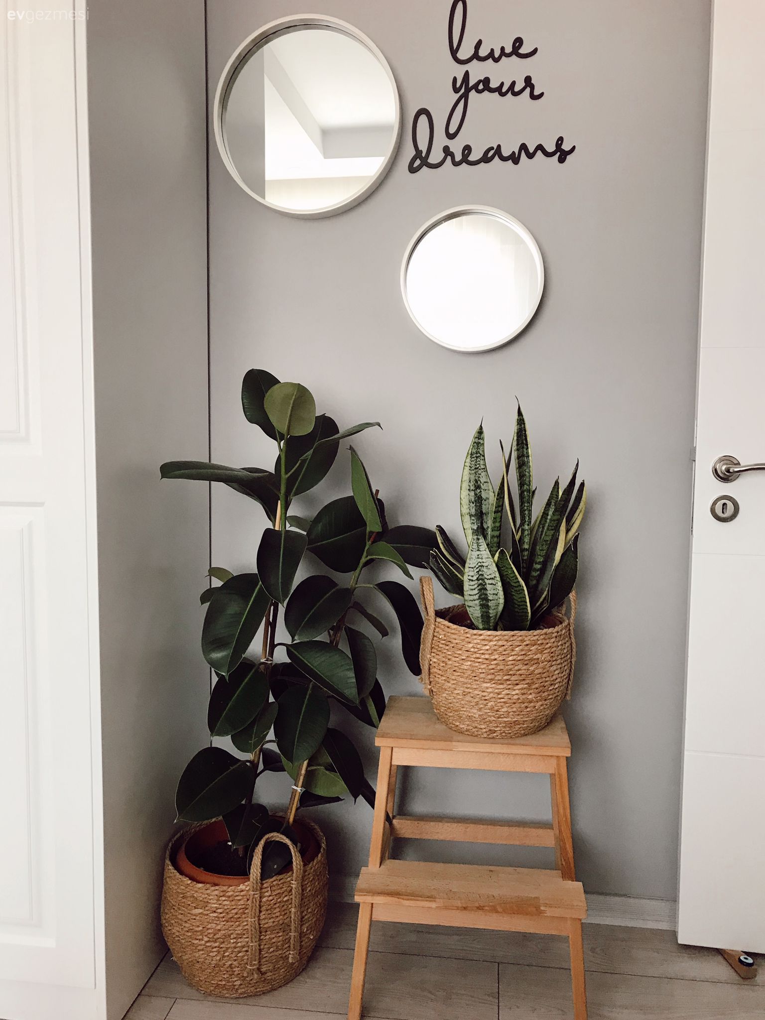 Çiçeklik, Ev bitkisi, Hasır, Saksı, Yuvarlak ayna, Dekoratif ayna, Gri duvar