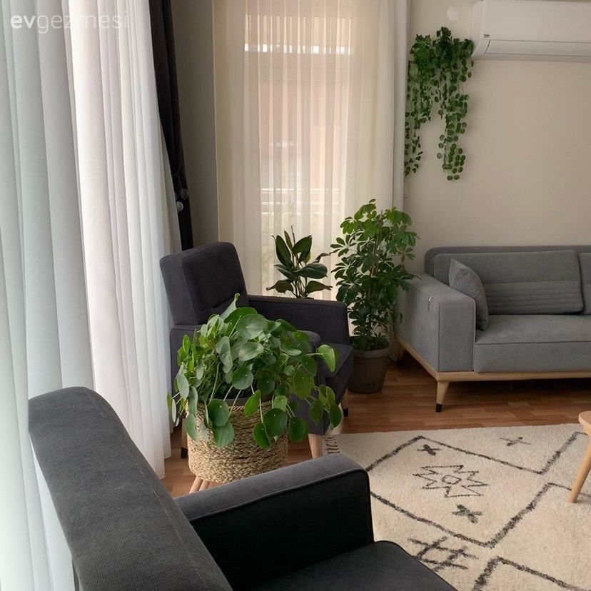 Salon, Modern, Koltuk takımı, Gri, Beyaz, Krem, Fon perde, Perde, Ev bitkisi, Saksı, Geometrik desen, Desenler, Orta sehpa, Sehpa, Parke, Halı, Salon halısı