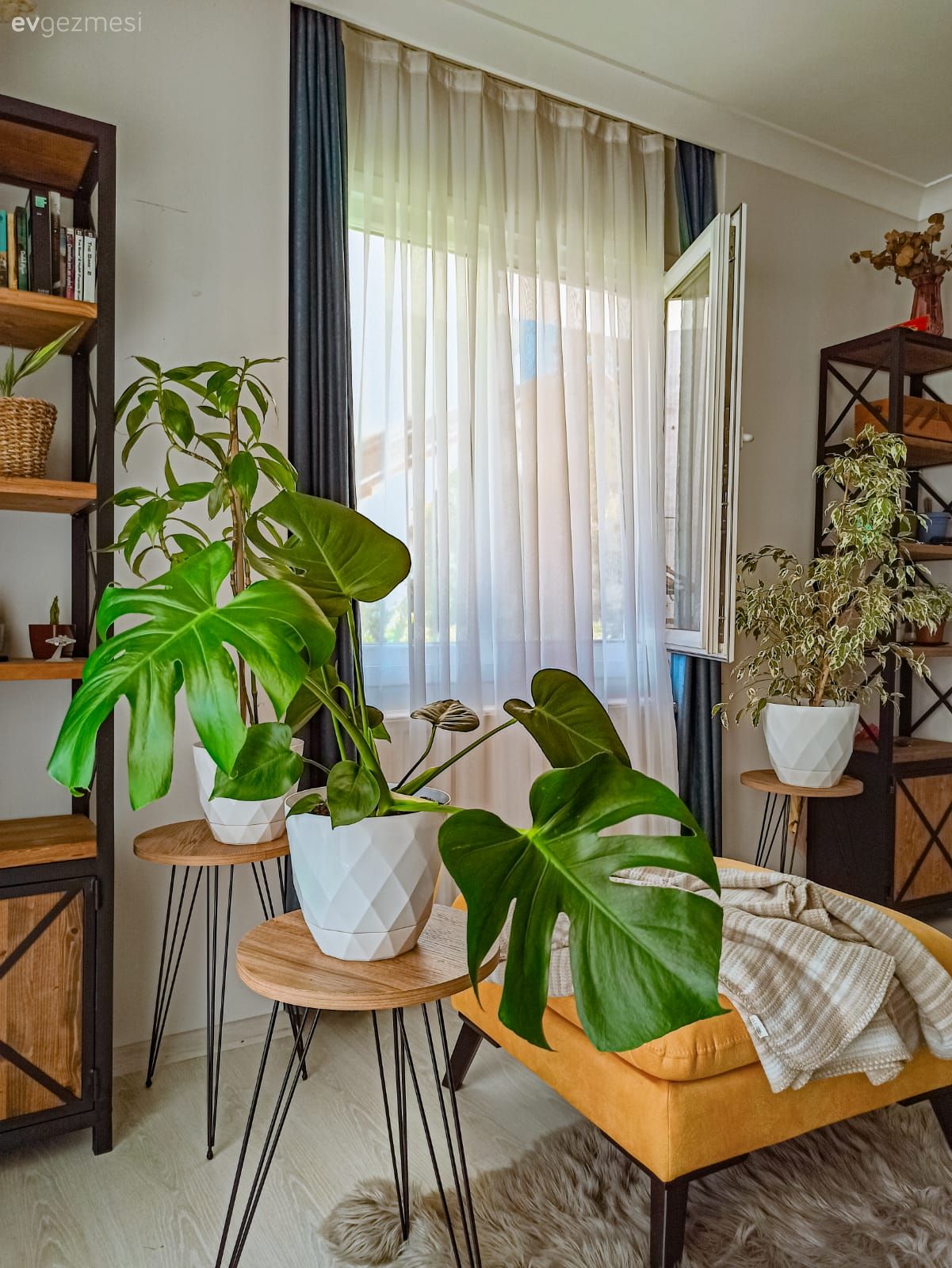 Bohem Dekorasyon, Vitrin, Hasır, Ev bitkisi, Puf, Yan sehpa, Sehpa, Saksı