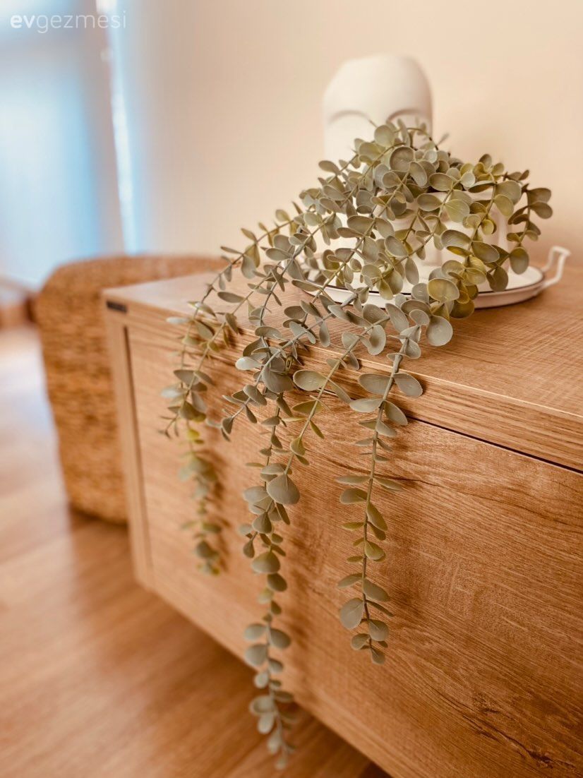 Ahşap Mobilya, Parke