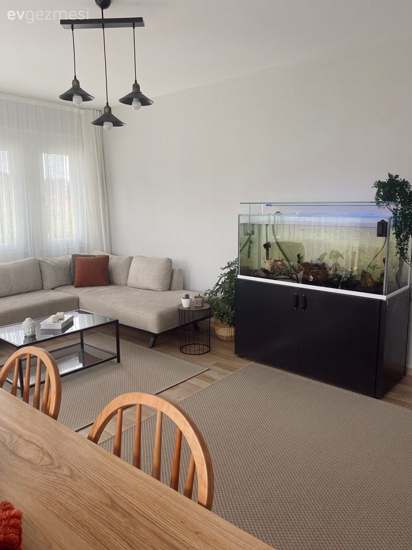 Salon, Modern, Bohem Dekorasyon, Bej, Krem, Beyaz, Orta sehpa, Sehpa, Cam orta sehpa, Kırlent, Ev tekstili, Halı, Salon halısı, Tül perde, Perde, Avize, Aydınlatma, Salon avizesi