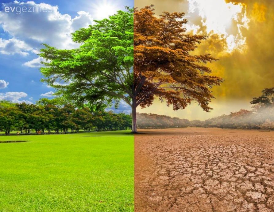 İklim Değişikliği İle Mücadele Ederken Evde Ne Yapmalısınız?