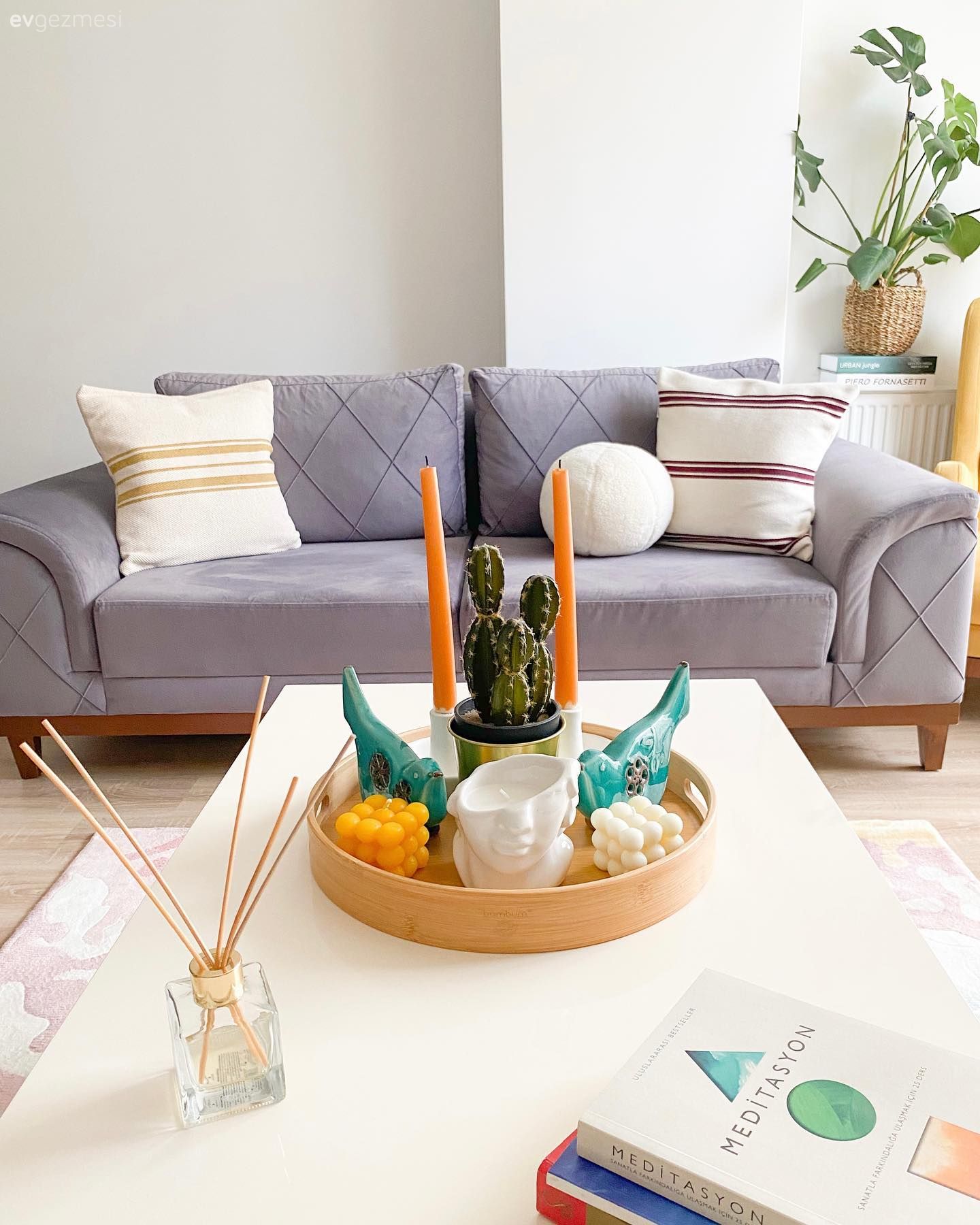 Salon, Modern, Gri, Gri koltuk, Beyaz, Kahverengi, Ev bitkisi, Orta sehpa, Sehpa, Sehpa üstü aksesuarı, Ev Aksesuar, Kırlent, Ev tekstili, Dekoratif Objeler, Saksı