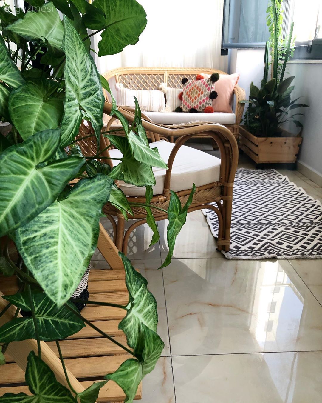 Balkon, Hasır, Hasır sandalye, Ev bitkisi, Balkon duvar dekorasyonu, Kırlent, Ev tekstili, Balkon masası, Sandalye