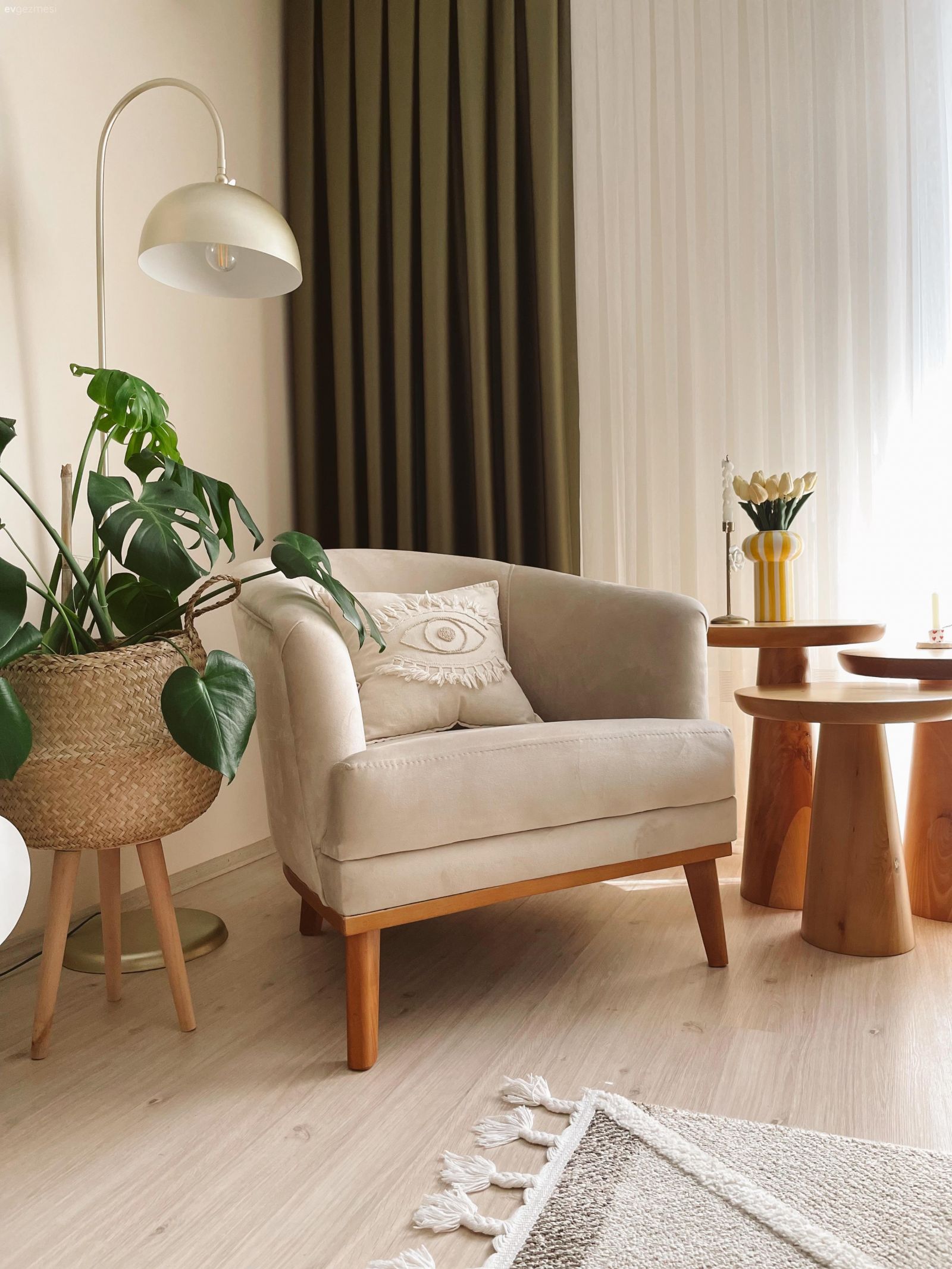 Yeşil, Berjer, Vizon, Krem, Ahşap Mobilya, Ev bitkisi, Yan sehpa, Sehpa, Halı, Parke