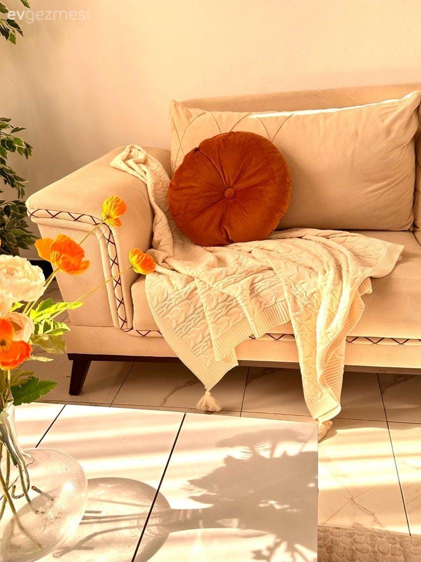 Salon, Krem, Kırlent, Ev tekstili, Ev bitkisi