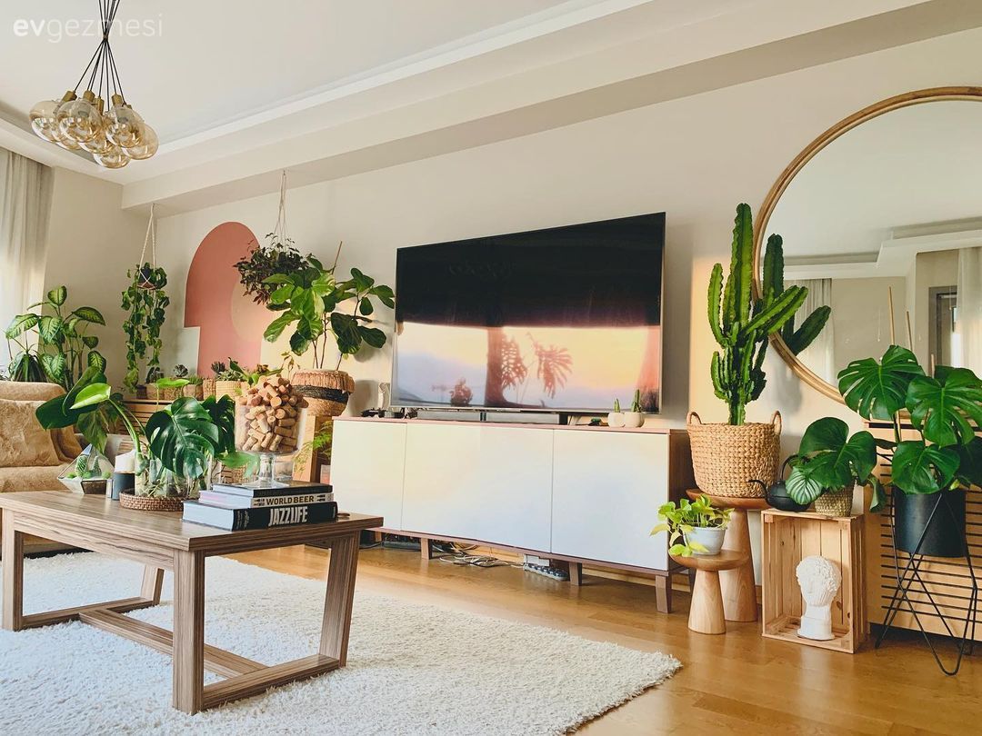 Salon, Bohem Dekorasyon, Beyaz, Ahşap Mobilya, Hasır, Ev bitkisi, Orta sehpa, Sehpa, Halı, Yuvarlak ayna, Dekoratif ayna, Tv ünitesi, Avize, Aydınlatma, Hasır sepet, Saksı, Somon Rengi