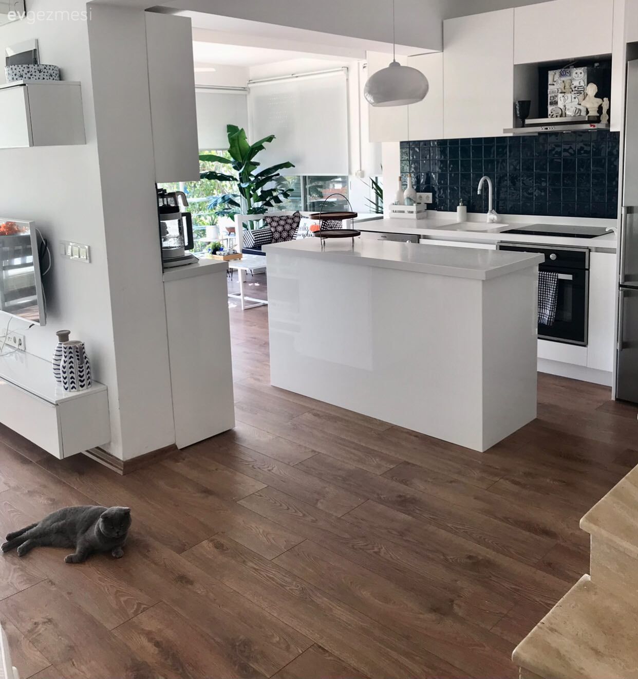 Açık konsept yaşam alanı, Beyaz, Siyah, Amerikan Mutfak, Mutfak, Parke, Ada mutfak, Ev bitkisi