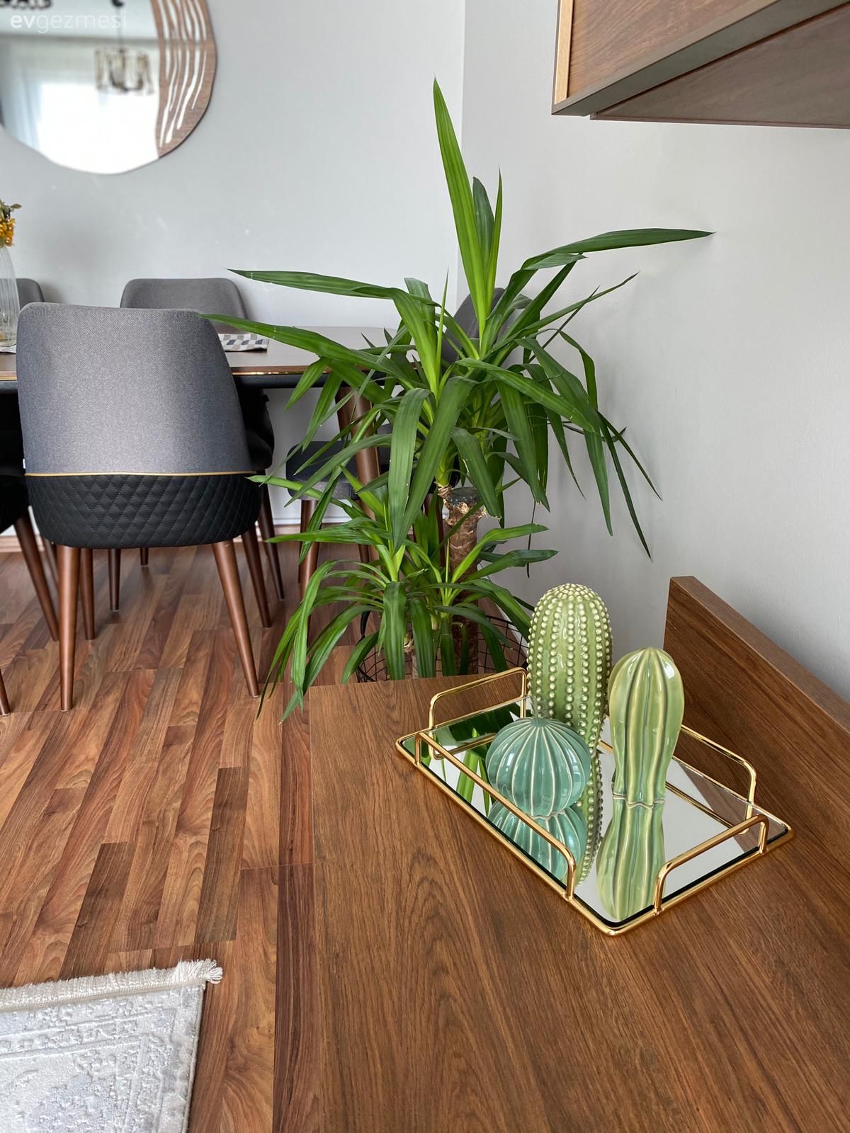 Tv ünitesi, Tv ünitesi aksesuarları, Ev Aksesuar, Ahşap Mobilya, Ev bitkisi, Parke