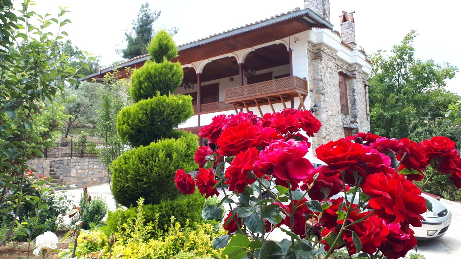 Müstakil Ev, Dış cephe, Bahçe, Çiçekler