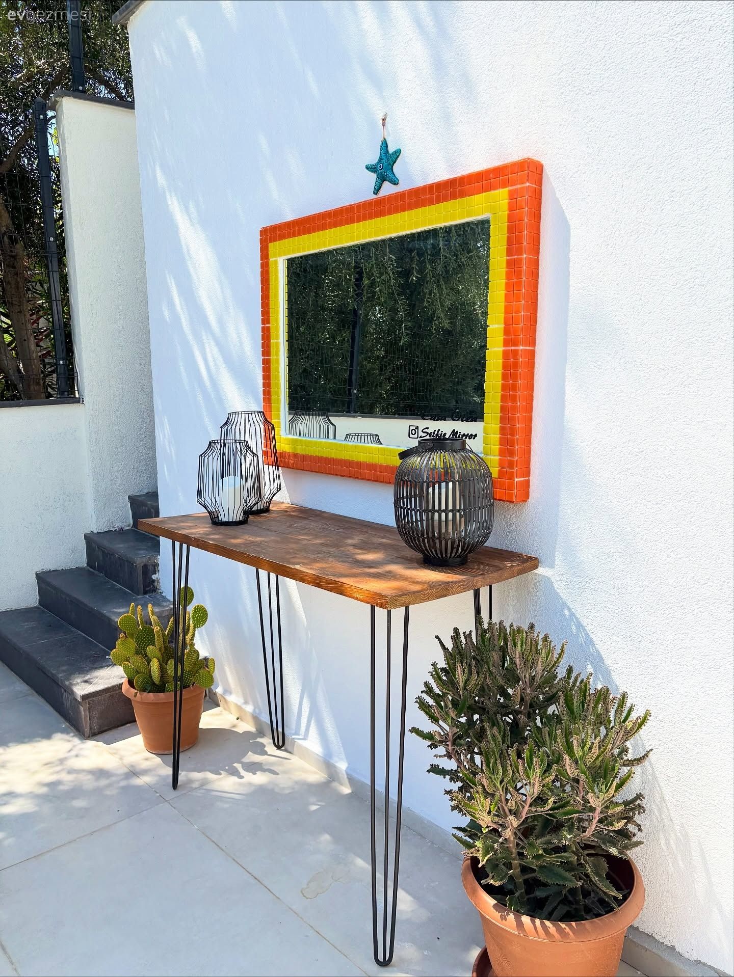 Bahçe, Ev bitkisi, Ayna