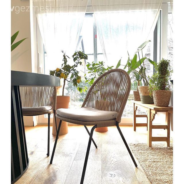 Ev bitkisi, Bohem Dekorasyon, Sandalye, Yemek masası, Siyah, Kahverengi