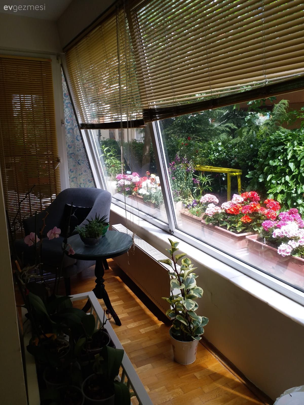 Katlamalı perde, Perde, Gri, Berjer, Çiçekler, Saksı, Ev bitkisi