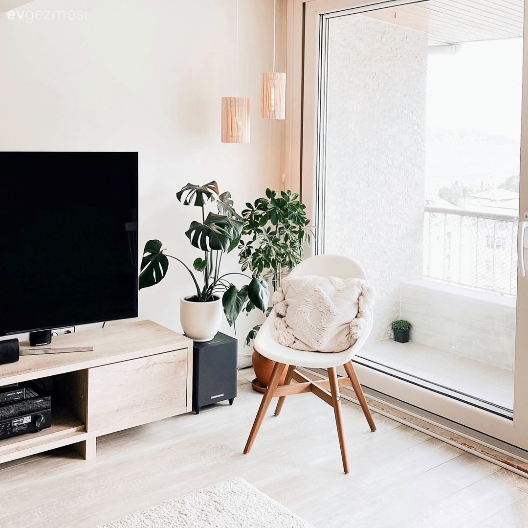 Salon, Beyaz, Bej, Ev bitkisi, Sandalye, Tv ünitesi, Tv ünitesi aksesuarları, Ev Aksesuar, Salon halısı