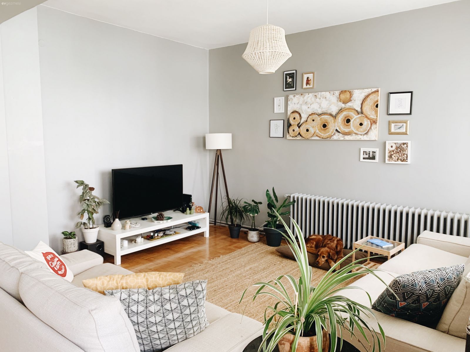 Salon, Bohem Dekorasyon, Bej, Vizon, Jüt halı, Halı, Koltuk takımı, Ev bitkisi, Lambader, Aydınlatma, Tv ünitesi, Tv ünitesi aksesuarları, Ev Aksesuar, Tablo, Duvar dekorasyonu, Çerçeve, Kırlent, Ev tekstili, Saksı