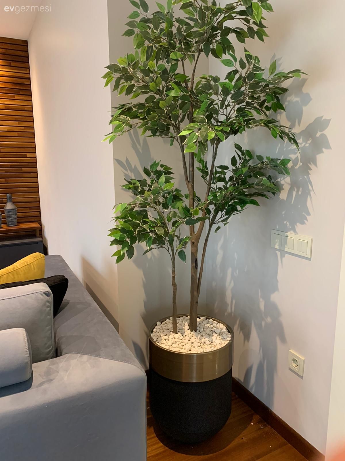 Saksı, Ev bitkisi, Kırlent, Ev tekstili, Koltuk takımı