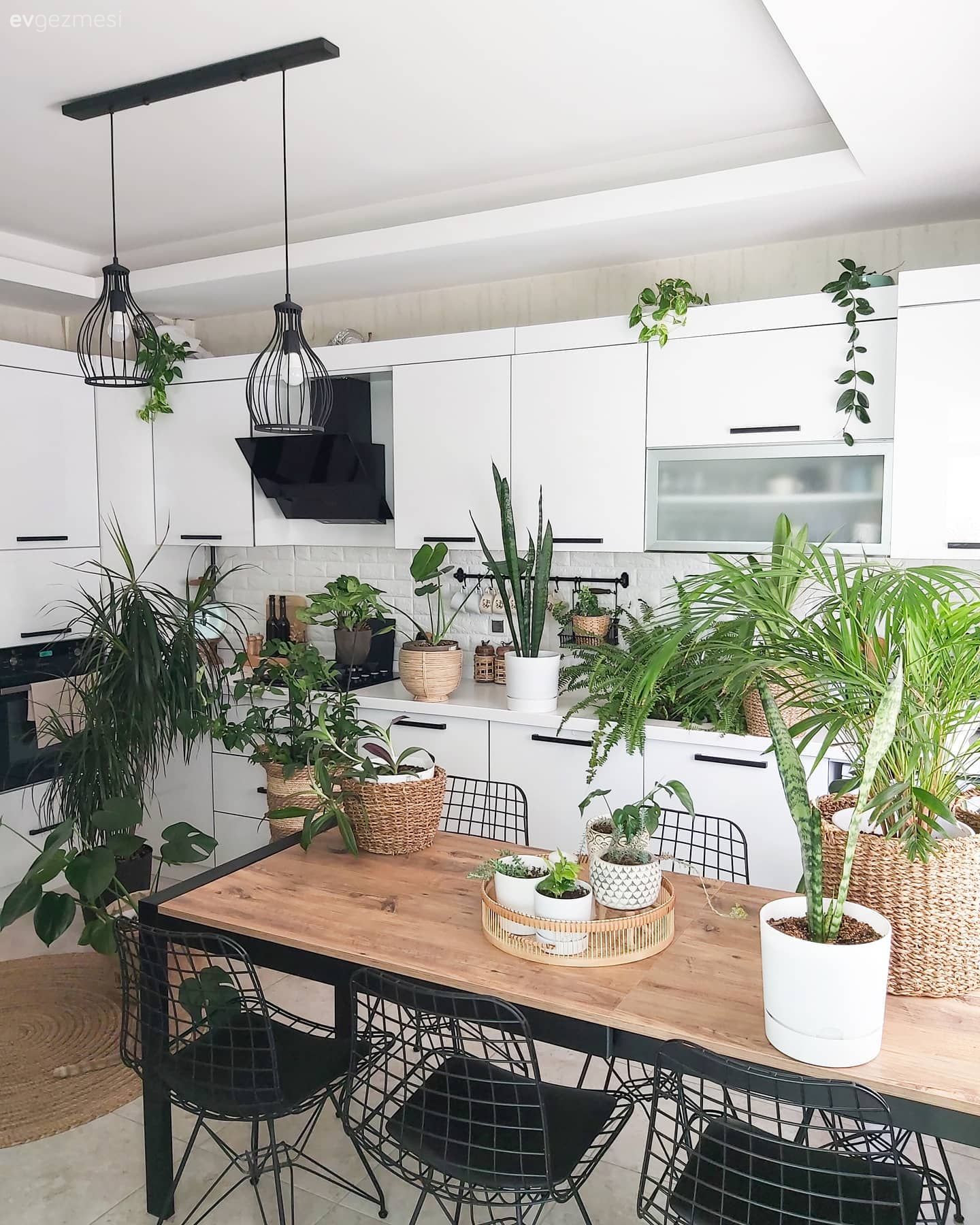 Mutfak, Beyaz, Beyaz mutfak, Mutfak tezgahı, Mutfak tezgah arası, Tezgah arası seramik, Metro seramik, Seramik, Davlumbaz, Ankastre, Mutfak masası, Metal sandalye, Sandalye, Mutfak Avize Modelleri, Ev bitkisi