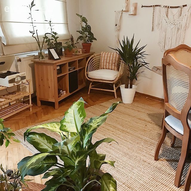 Ahşap Mobilya, Ev bitkisi, Sandalye, Makrome, Bohem Dekorasyon, Saksı, Katlamalı perde, Perde