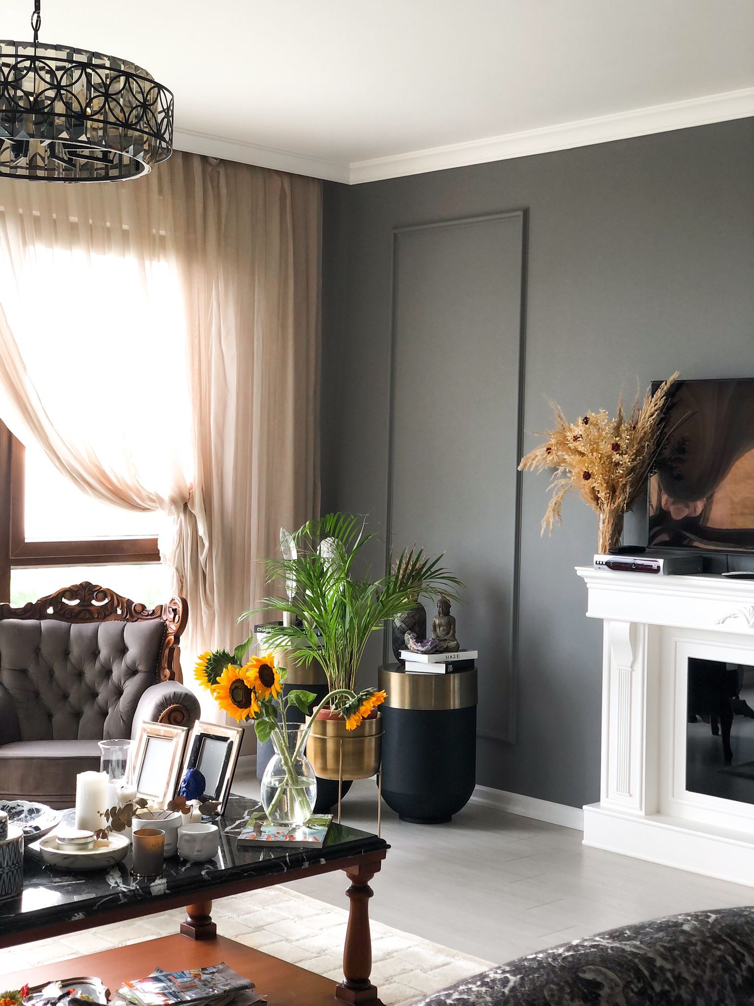 Antrasit duvar, Beyaz, Gri, Tül perde, Perde, Vazo, Ev Aksesuar, Saksı, Orta sehpa, Sehpa, Ev bitkisi, Avize, Aydınlatma, Salon avizesi, Parke, Çiçekler