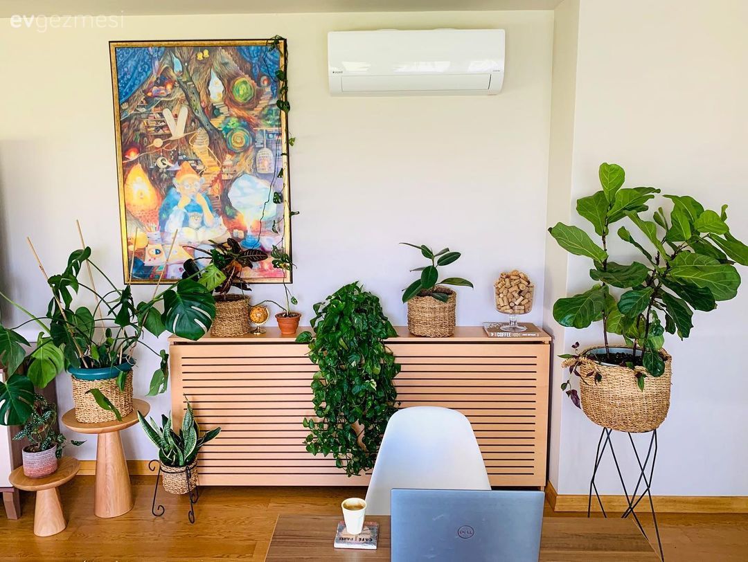 Ahşap Mobilya, Beyaz, Çiçeklik, Ev bitkisi, Tablo, Duvar dekorasyonu, Yan sehpa, Sehpa, Hasır sepet, Saksı, Hasır