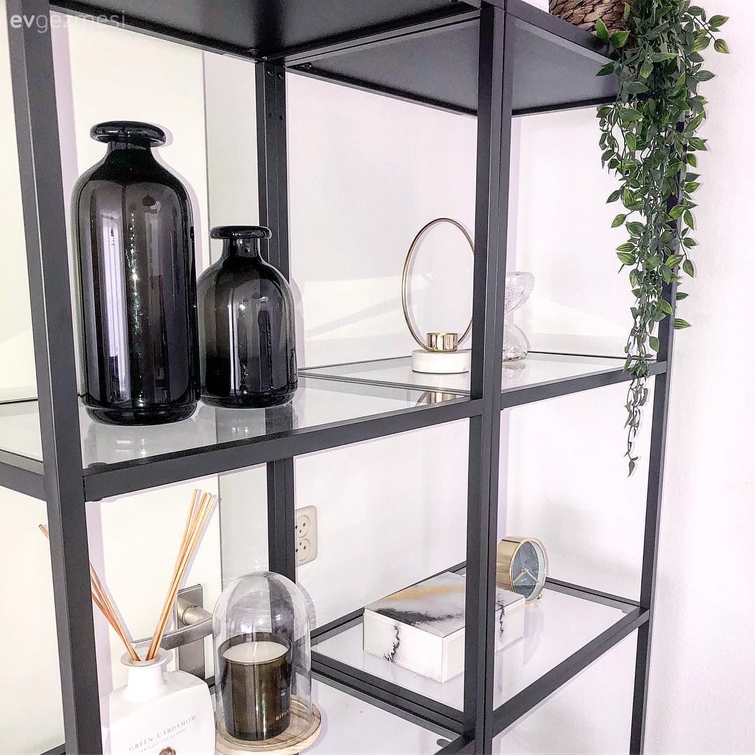 Siyah, Kitaplık, Kitaplık dekoratif objeleri, Ev bitkisi