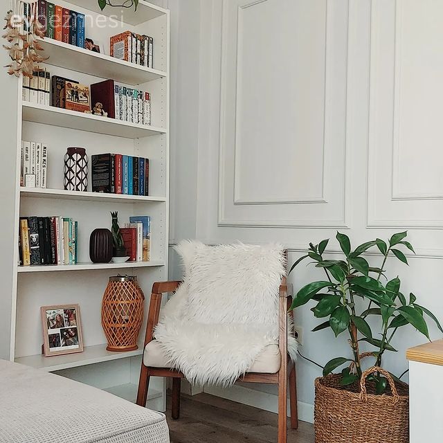 Beyaz, Kitaplık, Ev bitkisi, Berjer