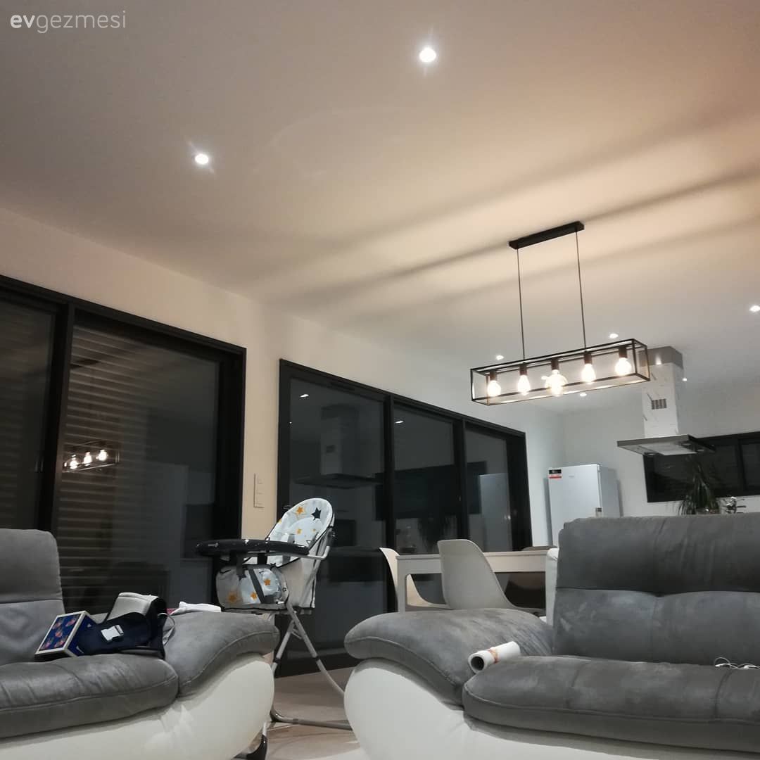 Salon, Modern, Beyaz, Gri, Siyah, Koltuk takımı, Tv ünitesi, Gri koltuk, Ev bitkisi, Dekoratif Objeler, Avize, Aydınlatma, Sandalye, Spot aydınlatma