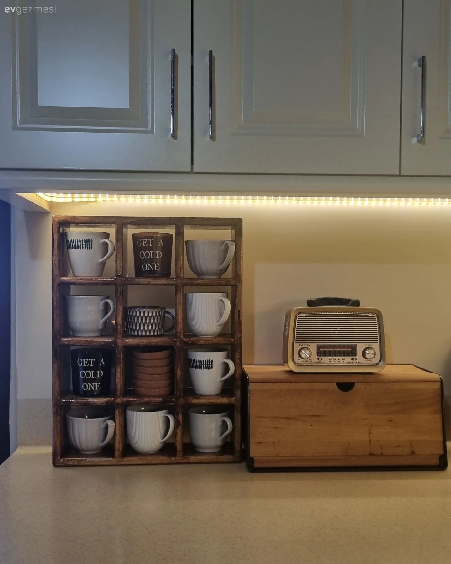 Bu Ankara Evinde Bitkiler Fazlaca Söz Sahibi