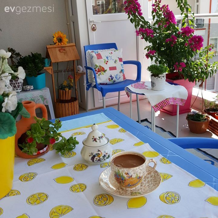 Balkon, Mavi, Pembe, Balkon masası, Sandalye, Balkon duvar dekorasyonu, Balkon çiçekleri